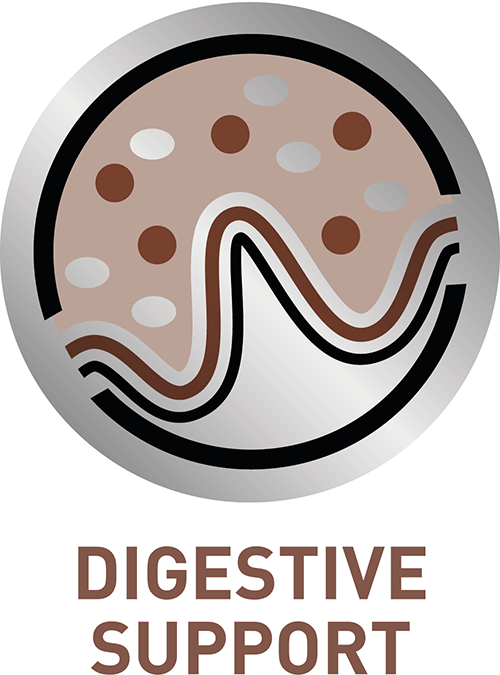 DIGESTIVE SUPPORT